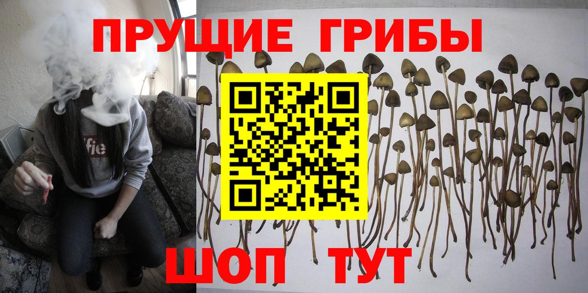 Галлюциногенные грибы мухоморы  Вход с VPN  Богородицк 