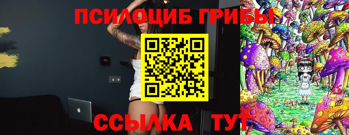 Галлюциногенные грибы прущие грибы Богородицк